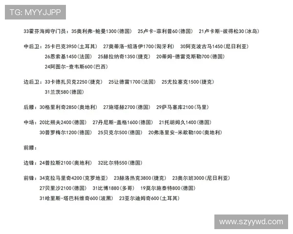 德甲球队球员信息详解：年龄、位置、身价全面分析